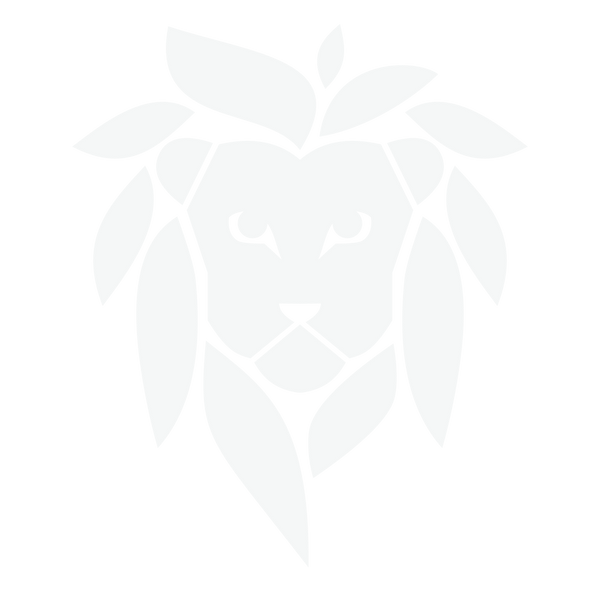 Spherachutes LLC logo